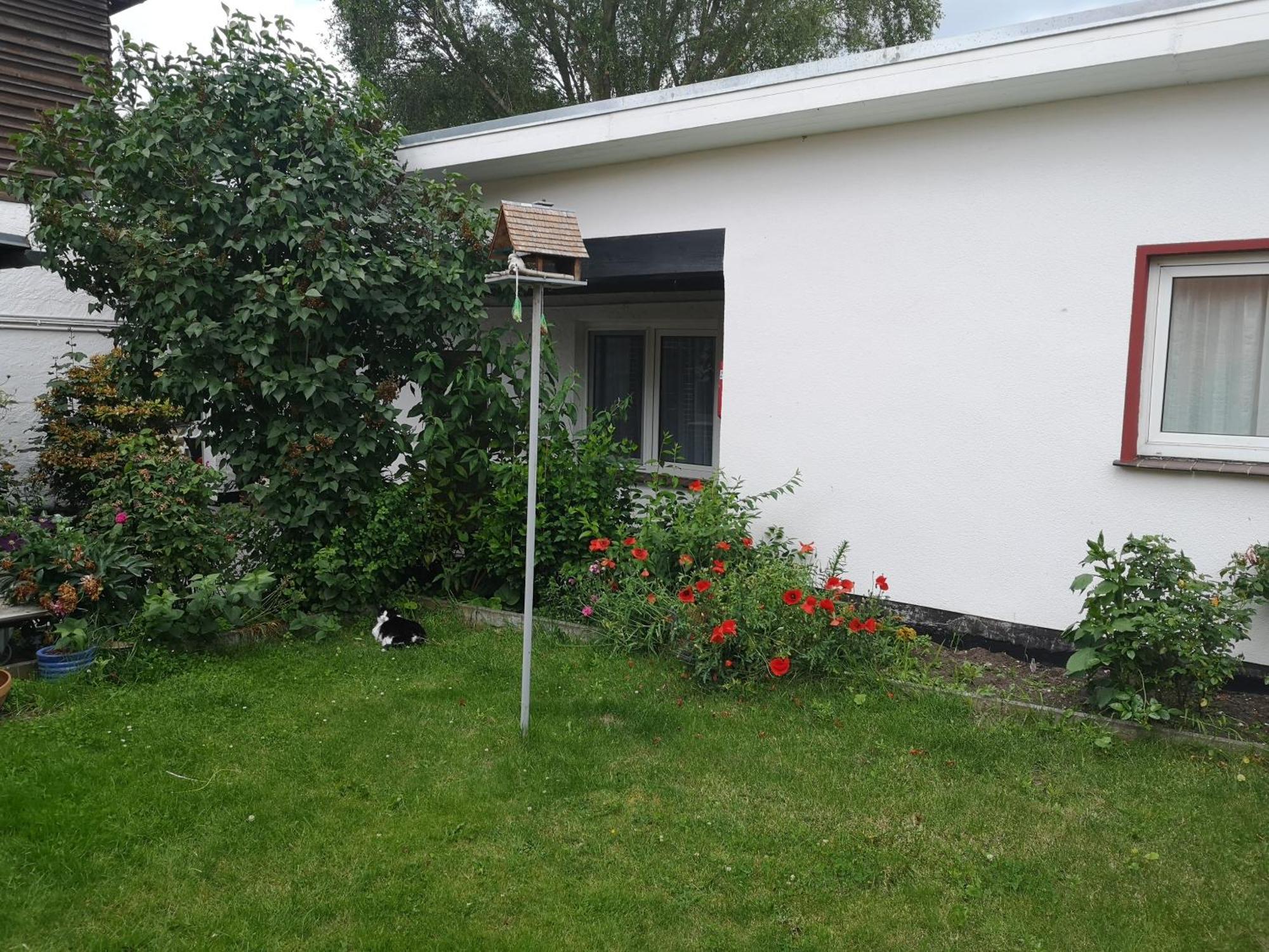 Uschi'S Gasthof Neuendorf  Eksteriør bilde